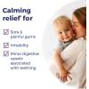 imageBoiron Camilia Teething Drops for Daytime and Nighttime Relief of Painful or Swollen Gums and Irritability in Babies  30 Count15 Dose Teething