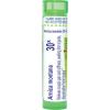 imageBoiron Arnica Montana 30x Homeopathic Medicine for Muscle Pain and Stiffness  Pack of 3 240 Pellets80 Count Pack of 1