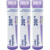 imageBoiron Carbo Vegetabilis 200ck Homeopathic Medicine for Abdominal Bloating with Gas  Pack of 3 240 Pellets