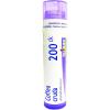 imageBoiron Coffea Cruda 200ck Homeopathic Medicine for Sleeplessness with Mental Hyperactivity  Pack of 3 240 Pellets