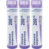 imageBoiron Gelsemium Sempervirens 200ck Homeopathic Medicine for Apprehension  Pack of 3 240 Pellets