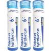imageBoiron Histaminum Hydrochloricum 6c Homeopathic Medicine for Allergies  Pack of 3 240 Pellets