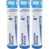 imageBoiron Symphytum Officinale 6c Homeopathic Medicine That Promotes Healing of Bone Trauma  Pack of 3 240 Pellets