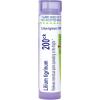 imageBoiron Lilium Tigrinum 200Ck for Menstrual Pains Spreading to The Thighs  80 Pellets200ck