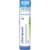imageBoiron Lilium Tigrinum 200Ck for Menstrual Pains Spreading to The Thighs  80 Pellets6c