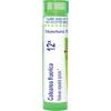 imageCalcarea Fluorica 12X