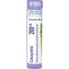 imageColocynthis 200CK
