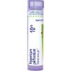 imageHypericum Perforatum 10M