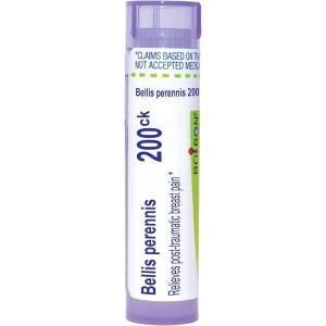imageBellis Perennis 200CK