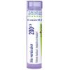 imageBOIRON USA  Iris Versicolor 200ck Health and Beauty 80 Count Pack of 1 Purple80 Count Pack of 1