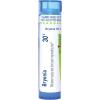 imageBryonia 30C80 Count Pack of 1