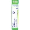 imageFerrum Phosphoricum 12X