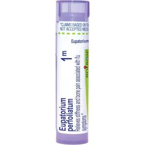 imageBoiron Eupatorium Perfoliatum 1M for Stiffness ampamp Bone Pain Associated with Flu Symptoms  80 Pellets