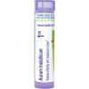 imageAurum Metallicum 1M