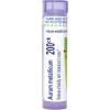imageAurum Metallicum 200CK