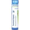 imageBOIRON USA  Tarentula Hispana 30c Health and Beauty