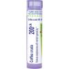 imageCoffea Cruda 200CKWhite