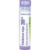 imageBoiron Chelidonium Majus 200Ck Homeopathic Medicine for Indigestion ampamp Nausea  80 Pellets
