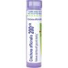 imageBoiron Cinchona Officinalis 30C Homeopathic Medicine for Diarrhea with Gas ampamp Bloating  80 Pellets200ck
