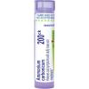 imageBoiron Ammonium Carbonicum 200Ck for Cold Symptoms with Stuffy Nose ampamp Nosebleeds  80 Pellets