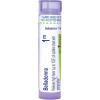 imageBoiron Belladonna 1M for High Fever of Sudden on Set with Perspiration  80 Pellets