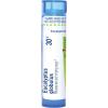 imageBoiron Eucalyptus Globulus 30C Homeopathic Medicine for Respiratory Antiseptic Relief  80 Pellets75 pellets