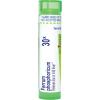 imageBoiron Ferrum Phosphoricum 30X Homeopathic Medicine for Fever  80 Pellets