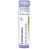 imageBoiron Kali Bichromicum 1M for Colds with Nasal Discharge  80 Pellets80 Count Pack of 1