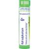 imageBoiron Kali Sulphuricum 6X for Colds with Nasal Discharge  80 Pellets