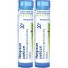 imageBoiron Manganum Aceticum 30C for Hoarseness Triggered by Cold ampamp Damp Conditions  80 Pellets75 pellets Pack of 2