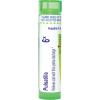 imageBoiron Pulsatilla 6X